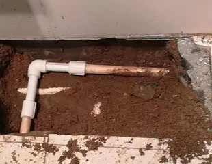 儋州测漏水哪家好