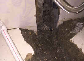 儋州卫生间测漏水哪家好